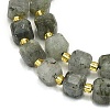 Natural Labradorite Beads Strands G-I376-D31-01-3