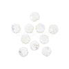Natural Shell Beads Strands SSHEL-CJ0001-09-3