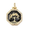 Rack Plating Brass Micro Pave Cubic Zirconia Pendants ZIRC-F142-20G-02-1