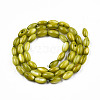 Natural Freshwater Shell Beads Strands SHEL-N026-212-B04-2