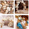 Mixed Natural Shell Bead Sets BSHE-PH0003-03-7