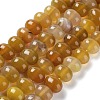 Natural Agate Beads Strands G-G021-03B-08-1