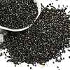 Electroplate Glass Seed Beads SEED-H003-10L-1