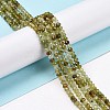 Natural Green Garnet Beads Strands G-E194-05-2