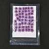 Centaurea Iberica Embossing Dried Flower DIY-K032-65D-1