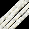 Natural Trochus Shell Beads Strands BSHE-E030-09B-01-2