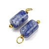 Natural Sodalite Cloumn Pendants STAS-H221-04G-06-2