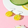 AB Color Resin Dangle Earring EJEW-FS00014-7