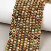 Natural Turquoise Beads Strands G-Z163-B02-4mm-1