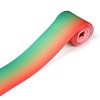 Gradient Rainbow Polyester Ribbon OCOR-G008-04B-2