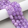 Natural Malaysia Jade Beads Strands G-P528-N14-01-5