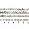 Natural Tree Agate Beads Strands G-G189-D12-03-5