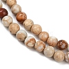 Dyed Natural Regalite/Imperial Jasper/Sea Sediment Jasper Beads Strands G-B124-C04-11-2