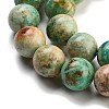 Natural Peruvian Turquoise(Jasper) Beads Strands G-Z062-A01-03-4