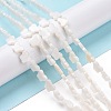 Natural Freshwater Shell Beads Strands SHEL-H002-02E-2