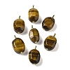 Natural Tiger Eye Pendants G-G110-08G-02-1