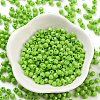 Baking Paint Glass Seed Beads SEED-A032-02A-2