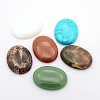 Gemstone Cabochons G-P024-M-1