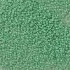 TOHO Round Seed Beads X-SEED-TR11-0156-2