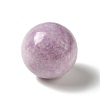 Natural Lepidolite/Purple Mica Stone Beads G-A206-02-09-2