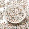 Baking Paint Glass Seed Beads SEED-F006-01A-12-2