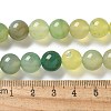 Natural Agate Beads Strands G-NH0001-G11-01-5