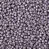 TOHO Round Seed Beads SEED-XTR08-0554F-2