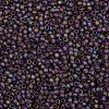 TOHO Round Seed Beads SEED-JPTR08-0166BF-2