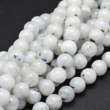 Natural Rainbow Moonstone Beads Strands G-I249-B04-02