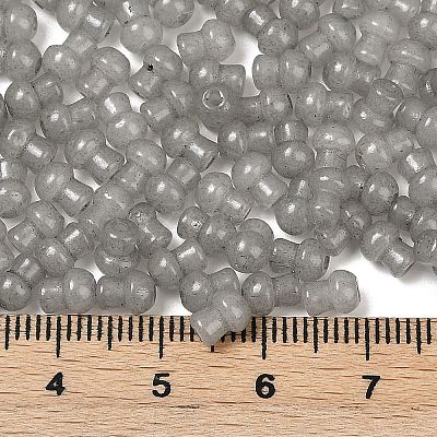 Transparent Colours Glass Seed Beads SEED-R001-01L-1