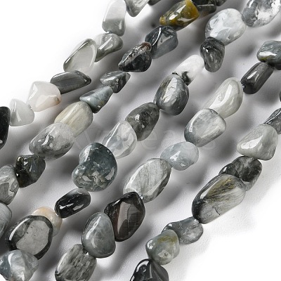 Natural Eagle Eye Stone Beads Strands G-P497-01C-52-1