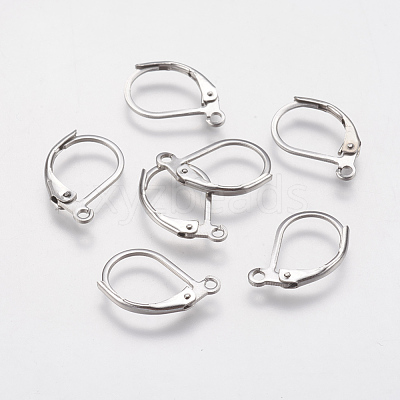 Tarnish Resistant 304 Stainless Steel Leverback Earring Findings STAS-F141-03P-1