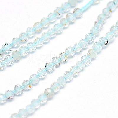Natural Blue Topaz Beads Strands G-G914-2mm-12-1