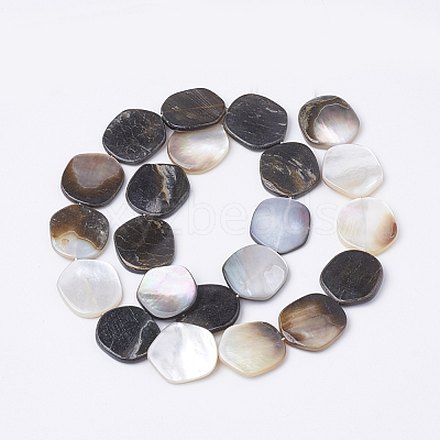 Black Lip Shell Beads Strands X-BSHE-T002-02-1