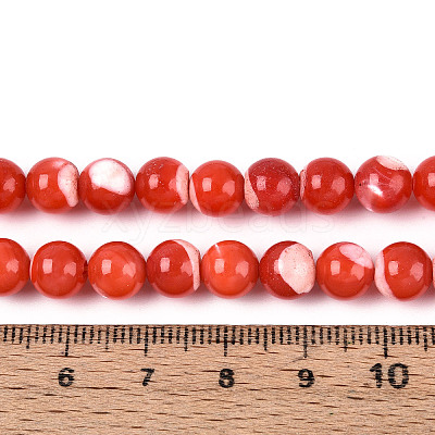 Natural Trochus Shell Mother of Pearl Shell Beads Strands SSHEL-T012-06-1