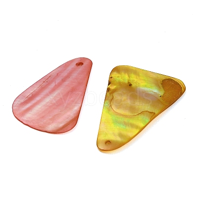 Dyed Natural Shell Pendants SHEL-C010-13-1