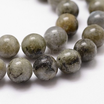 Natural Labradorite Bead Strands G-G735-29-8mm-1