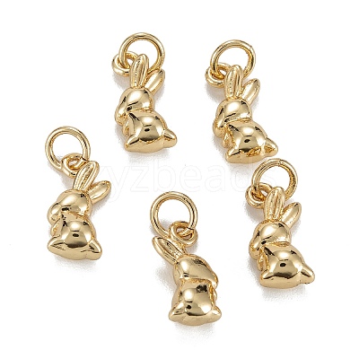 Brass Charms KK-C223-14G-1