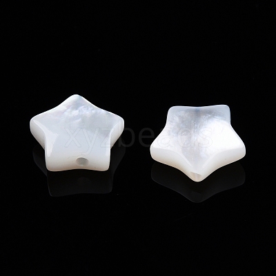 Natural White Shell Beads SSHEL-N032-54B-1