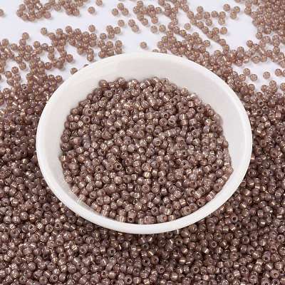 MIYUKI Round Rocailles Beads X-SEED-G008-RR0641-1