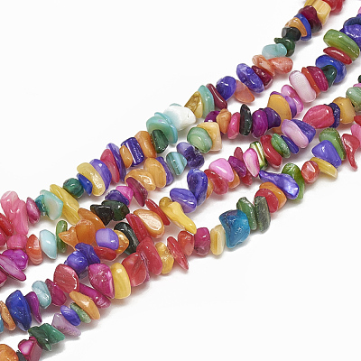 Freshwater Shell Beads Strands SHEL-S270-01-1