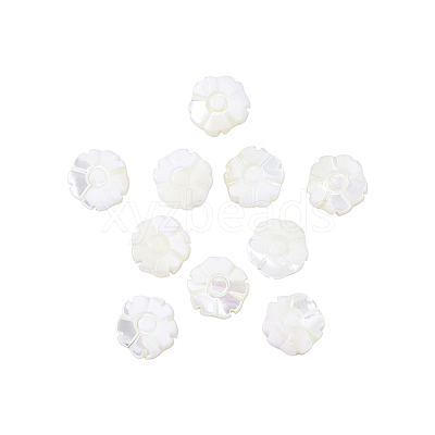 Natural Shell Beads Strands SSHEL-CJ0001-09-1