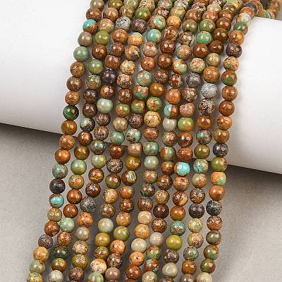 Natural Turquoise Beads Strands G-Z163-B02-4mm-1