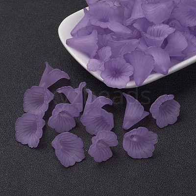 Transparent Acrylic Bead Caps LS-X-PL551-C08-1
