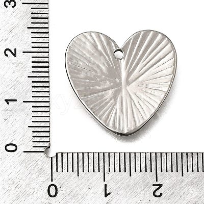 304 Stainless Steel Pendants STAS-Z163-01P-02-1