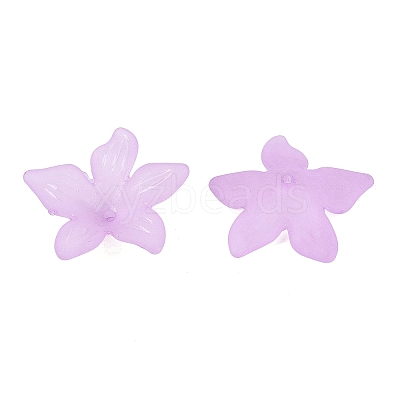 Translucent Acrylic Beads FACR-5335-6-1