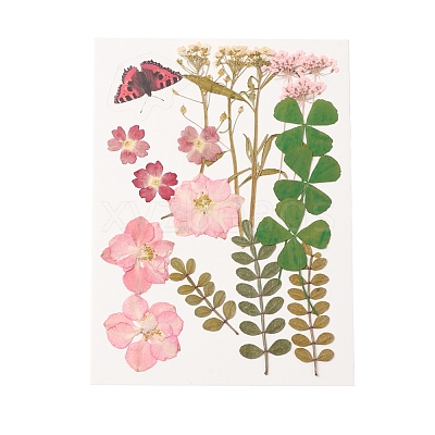 Pressed Dried Flowers DIY-YWC0001-95-1