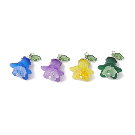 Acrylic Pendants PALLOY-TA00126-1