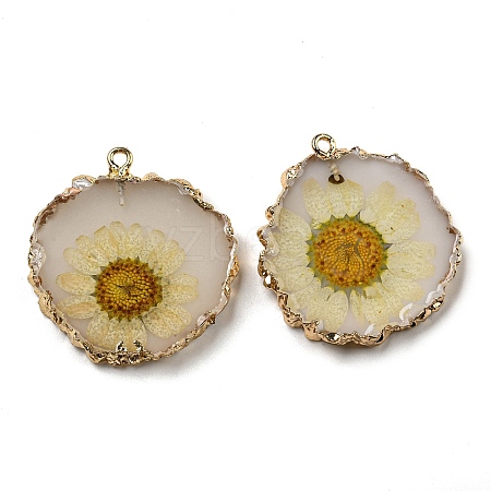 Inner Dried Flower Resin Pendants RESI-P028-02KCG-07-1