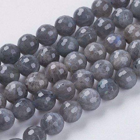 Natural Labradorite Beads Strands G-G213-8mm-03-1